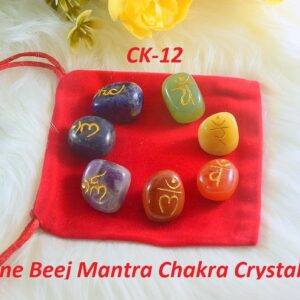 Beej mantra chakra crystals(7 piece)